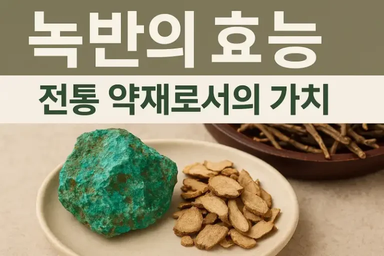 녹반의 효능과 전통 약재로서의 가치