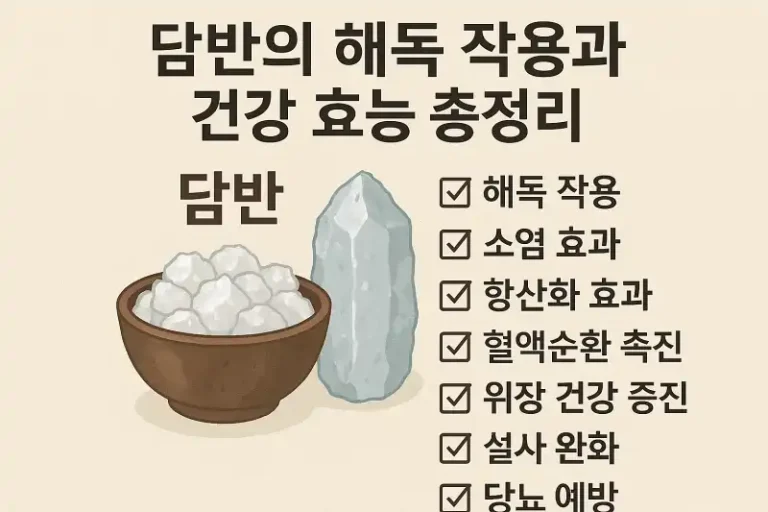 담반의 해독 작용과 건강 효능 총정리