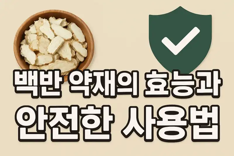 백반 약재의 효능과 안전한 사용법