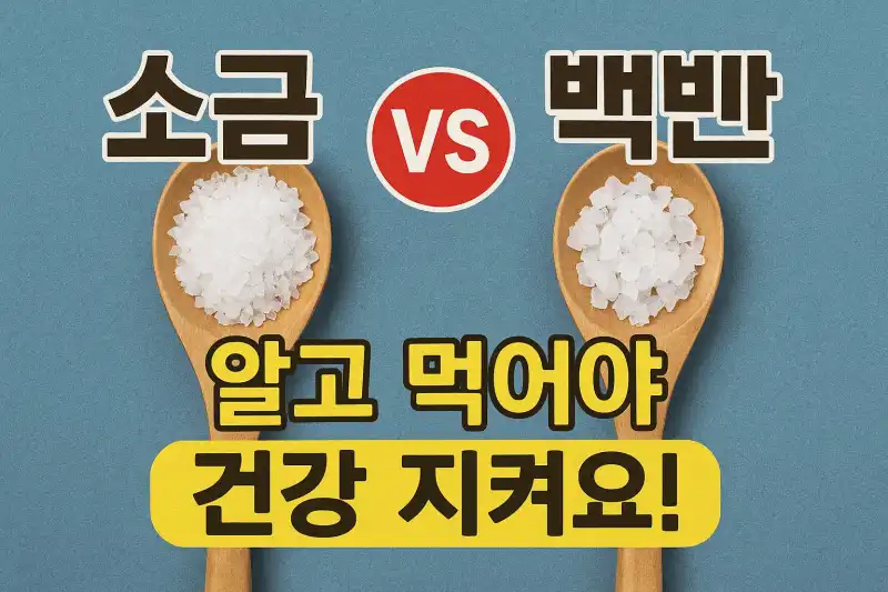 소금과 백반 차이, 알고 먹어야 건강 지켜요!