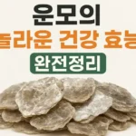 운모의 놀라운 건강 효능 완전정리