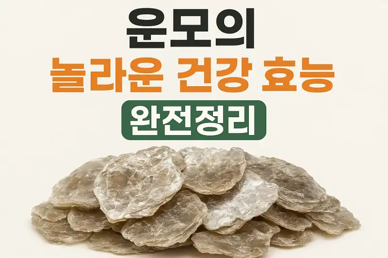 운모의 놀라운 건강 효능 완전정리
