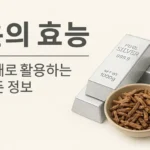 은의 효능과 약재로 활용하는 모든 정보