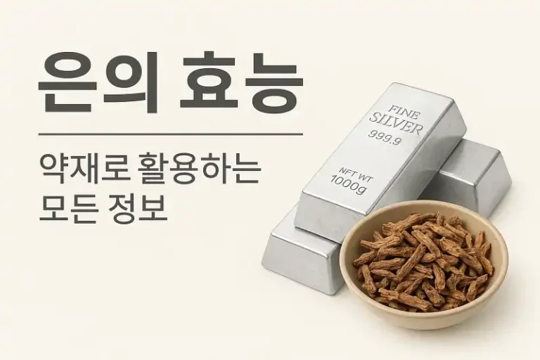 은의 효능과 약재로 활용하는 모든 정보