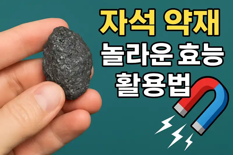 자석 약재의 놀라운 효능과 활용법