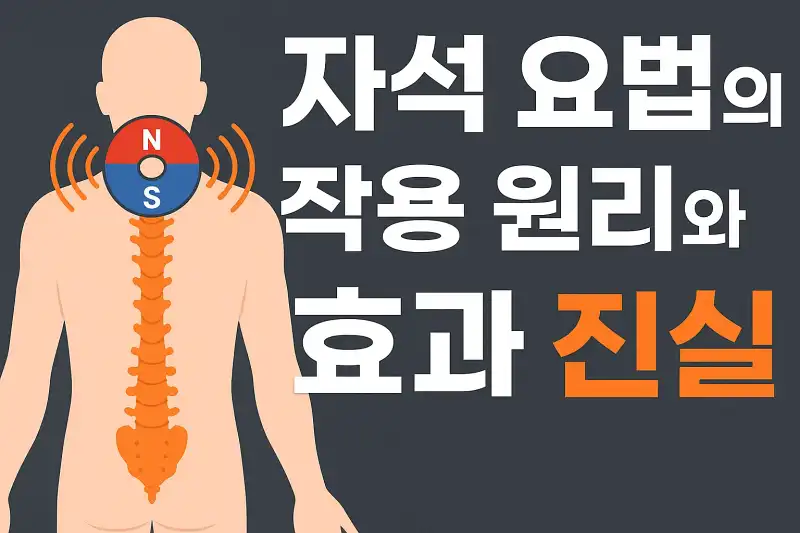 자석 요법의 작용 원리와 효과 진실