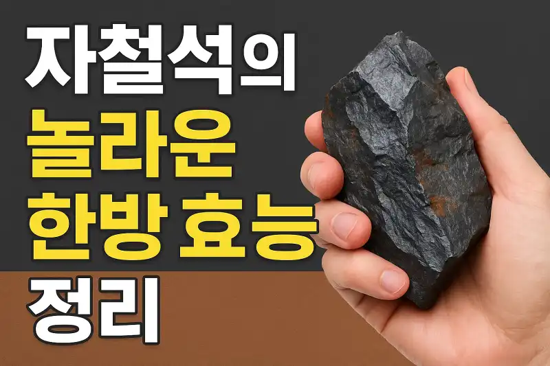자철석의 놀라운 한방 효능 정리