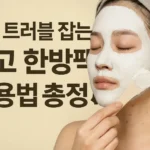 피부 트러블 잡는 석고 한방팩 사용법 총정리