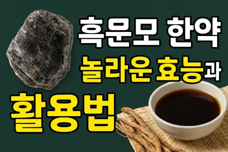 흑운모 한약의 놀라운 효능과 활용법