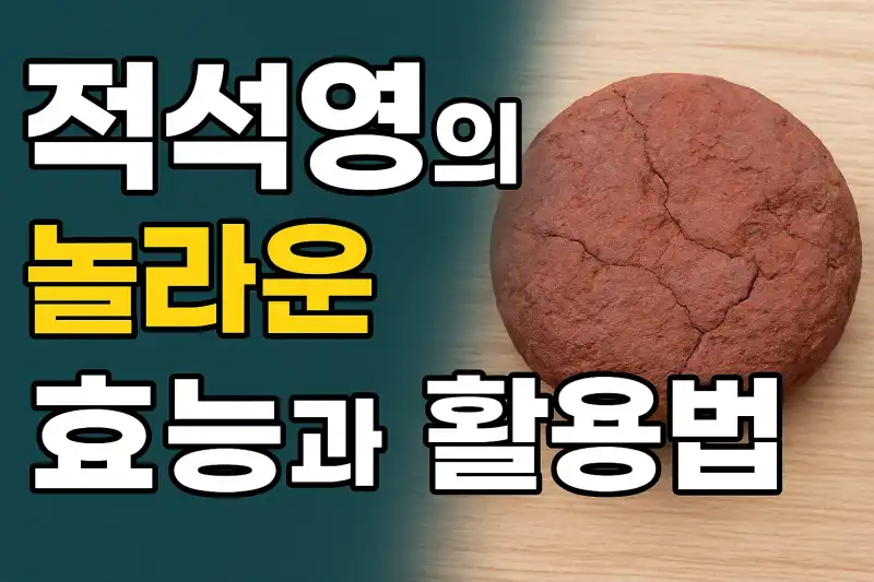 적석영의 놀라운 효능과 활용법