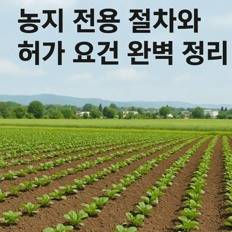 농지 전용 절차와 허가 요건 완벽 정리