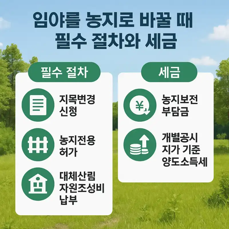임야를 농지로 바꿀 때 필수 절차와 세금 정리