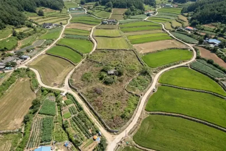 진입도로 통행권 분쟁 해결 가이드