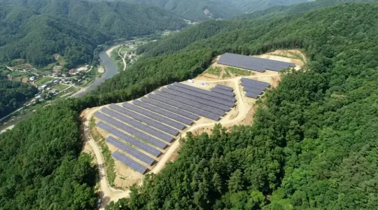 임야에 태양광 올려보려다 허가부터 막혀버린 이야기