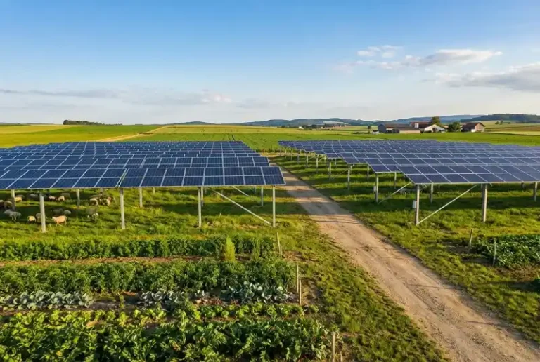농지 태양광 설치 가능할까? 농업진흥구역 완벽 해법