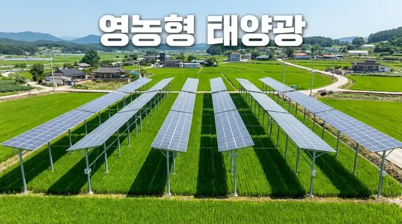 농지에 태양광 설치하고도 농사 계속 지을 수 있을까?