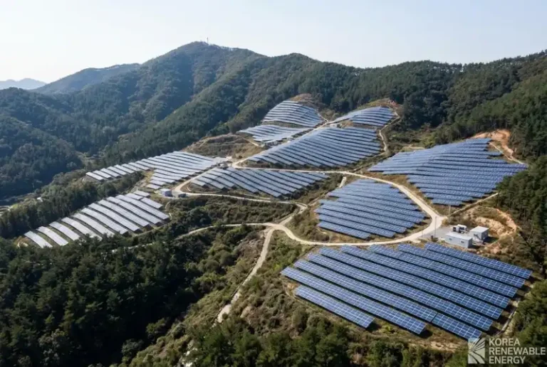 임야 태양광, 벌목은 어디까지 가능할까?