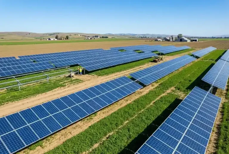 태양광 설치 전 지목 확인 안 하면 손해보는 이유