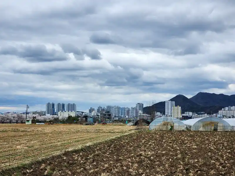 농지·임야 지목 변경, 직접 해보니 절차와 비용이 이렇게 달랐습니다