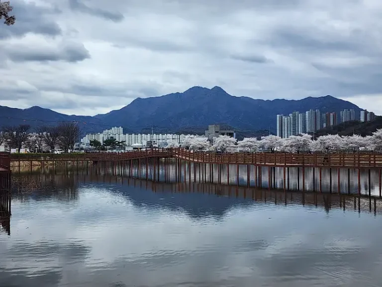 아파트 경매 권리분석, 3년 동안 직접 부딪혀 보고 깨달은 초보자 핵심 가이드